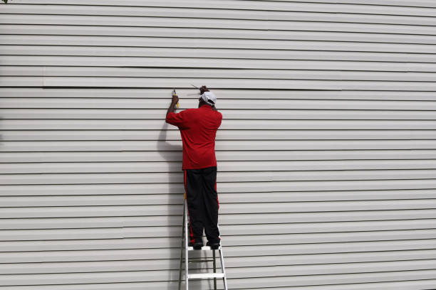 Best Siding Painting and Refinishing  in Middletown, DE